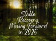 穩健復蘇，2025向前行                                                                                                                                          